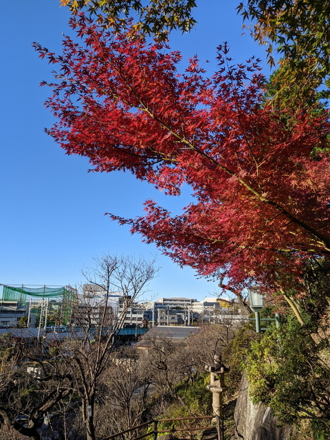 PXL_20211128_060724183.jpg