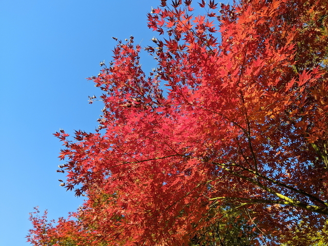 PXL_20211128_061939260.jpg