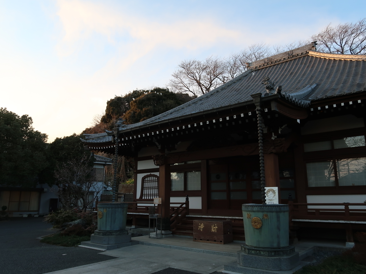 大田区 池上 呑川の白鷺（2022.2.5）: 黄昏草日記