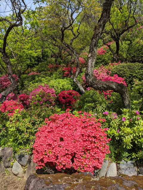 PXL_20220416_052154270.jpg