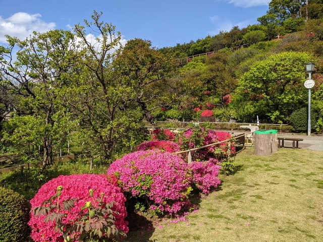 PXL_20220416_054339138.jpg