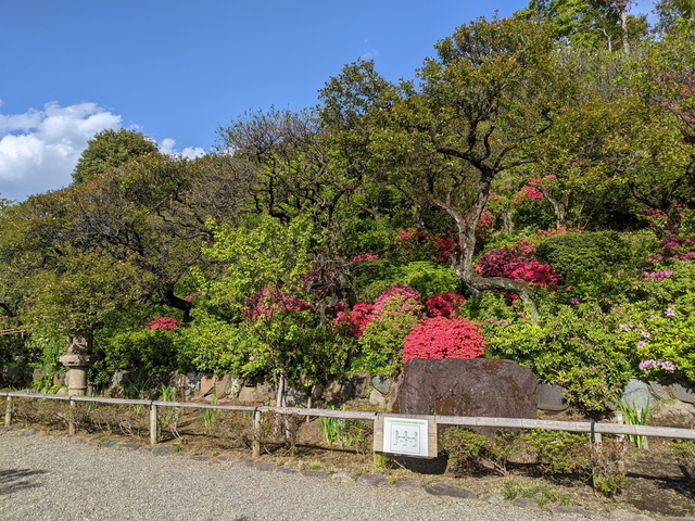PXL_20220416_062507596.jpg