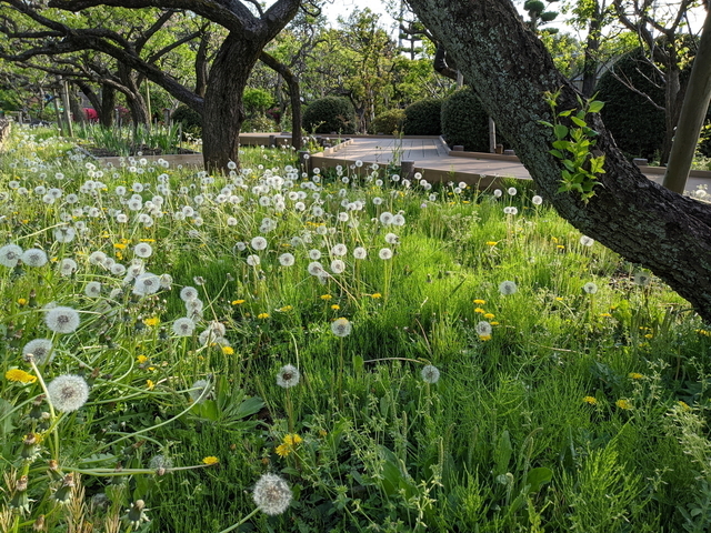 PXL_20220416_071329196.jpg