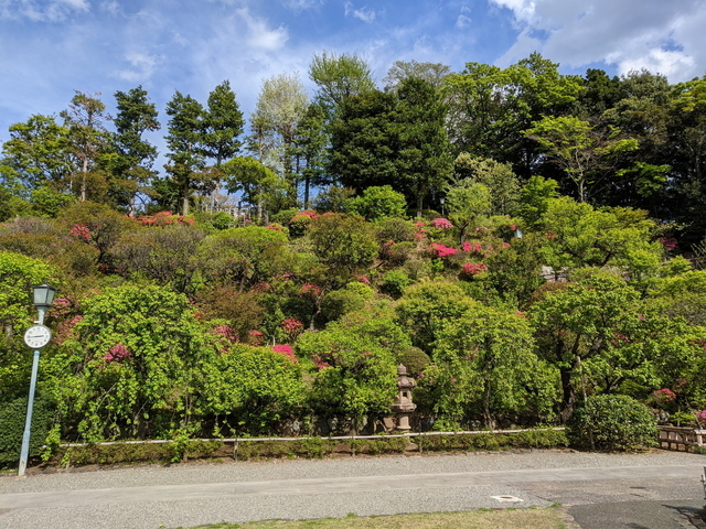 PXL_20220416_054357193.jpg