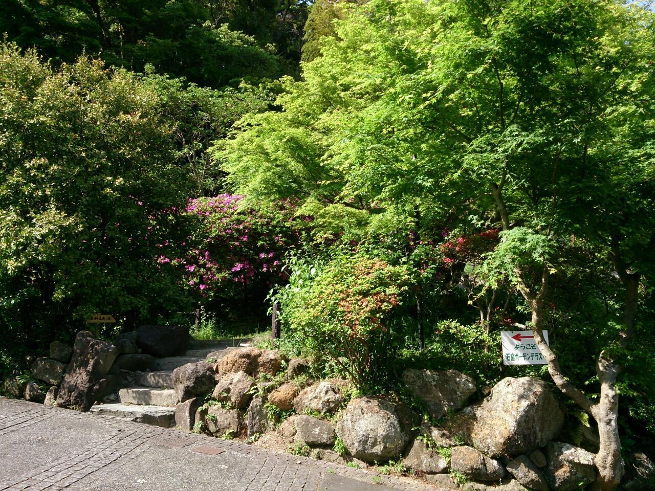 画像を等倍で表示します 画像