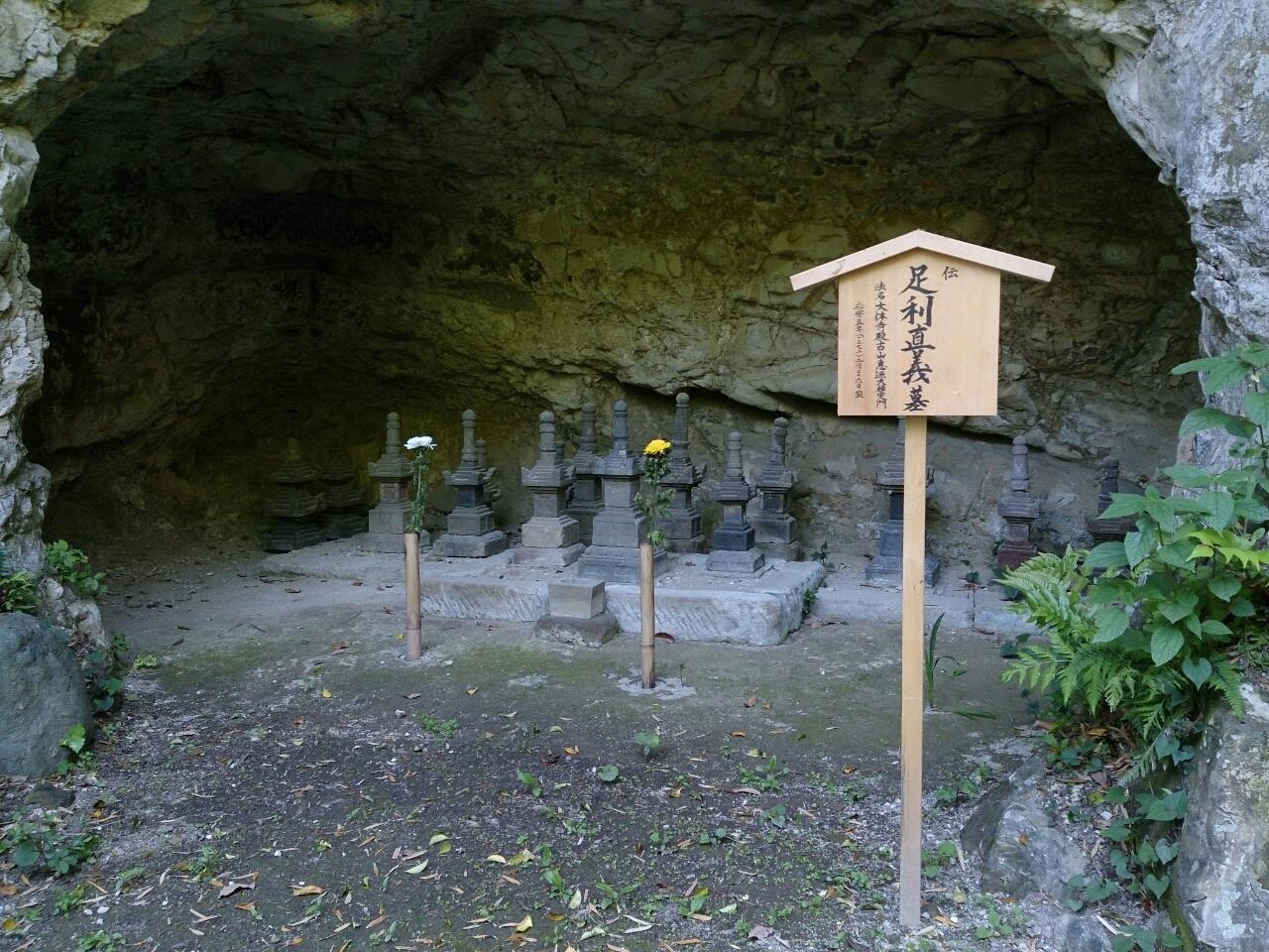 画像を等倍で表示します 画像