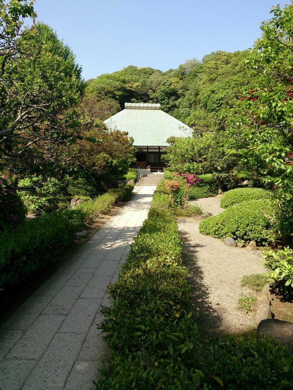 画像を等倍で表示します 画像
