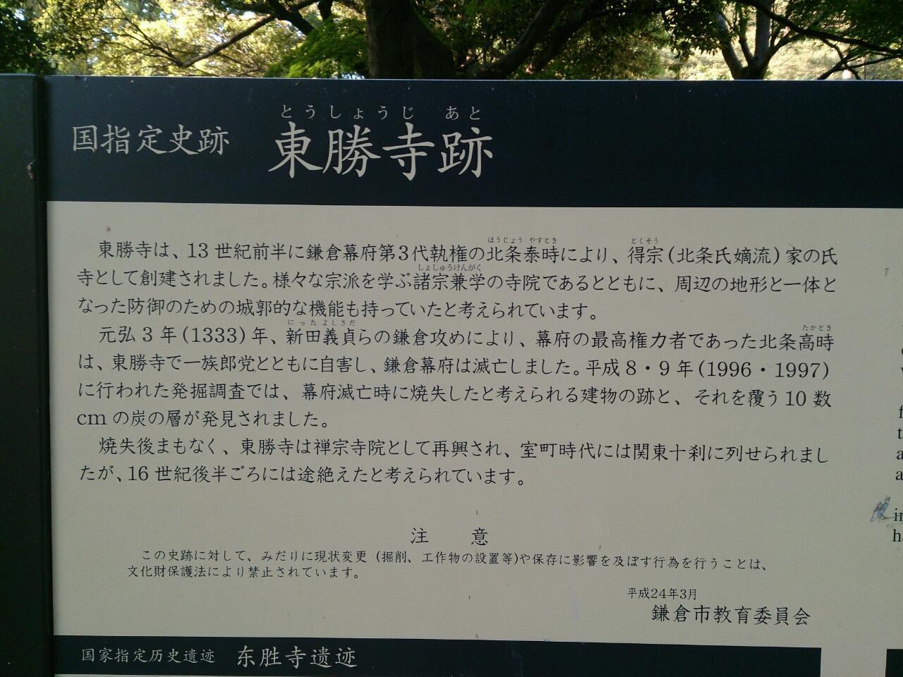画像を等倍で表示します 画像