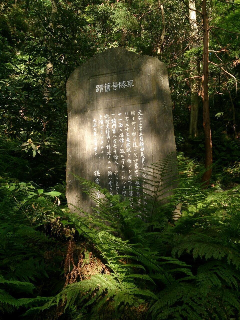画像を等倍で表示します 画像