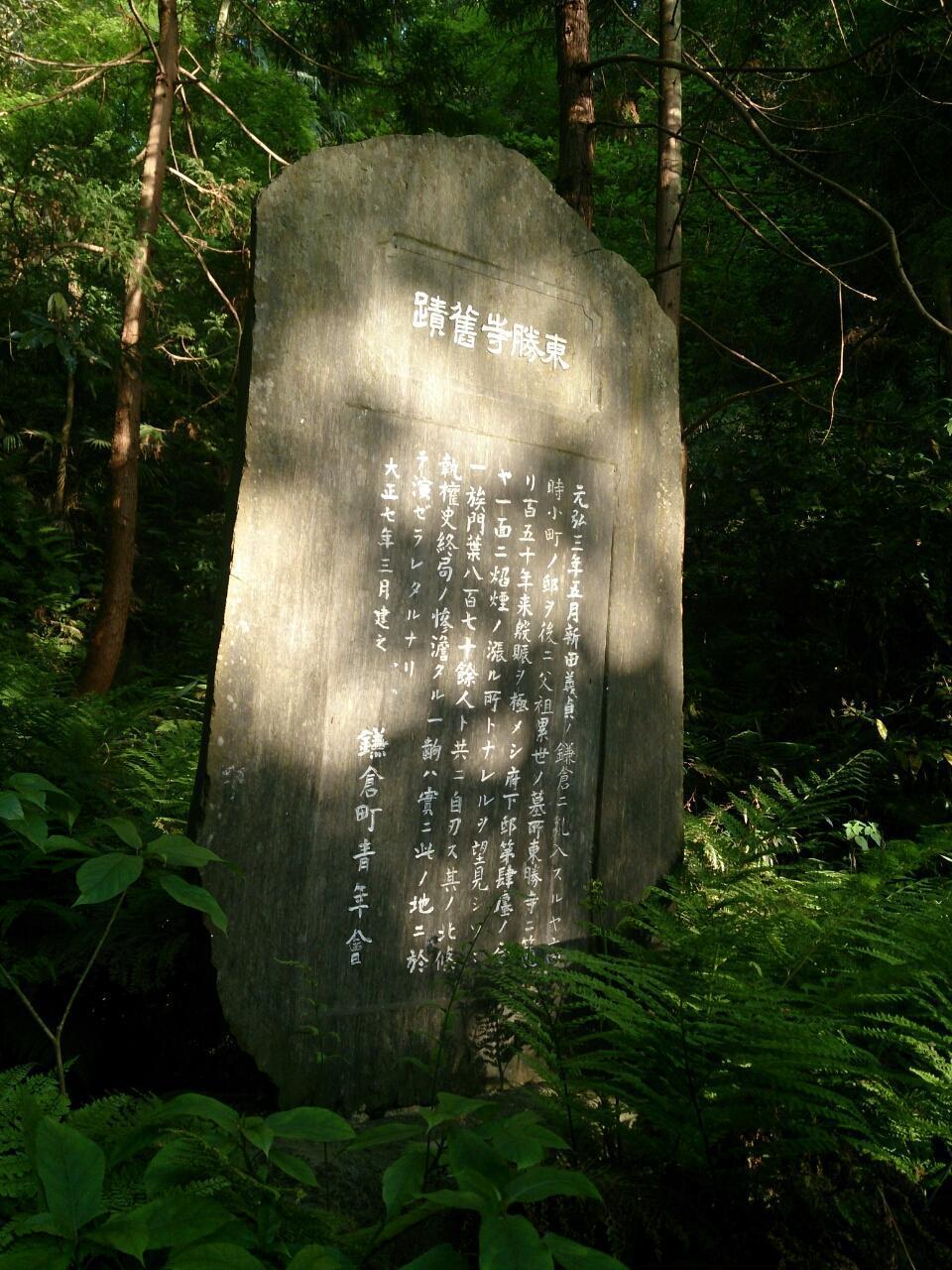 画像を等倍で表示します 画像