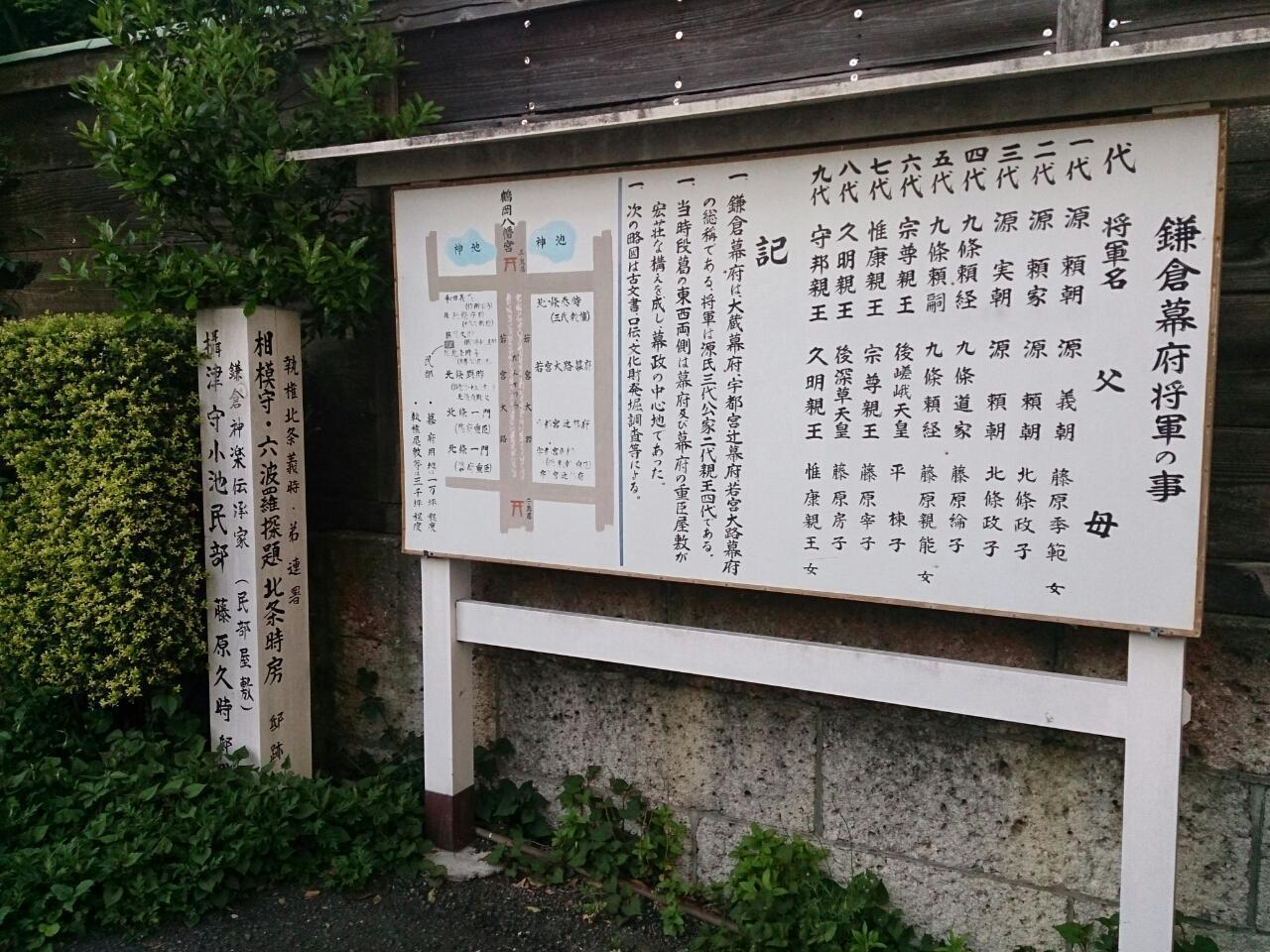 画像を等倍で表示します 画像