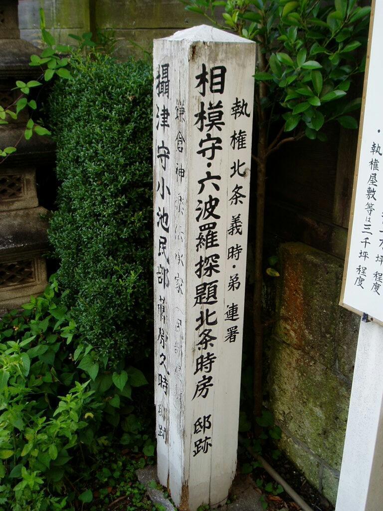 画像を等倍で表示します 画像