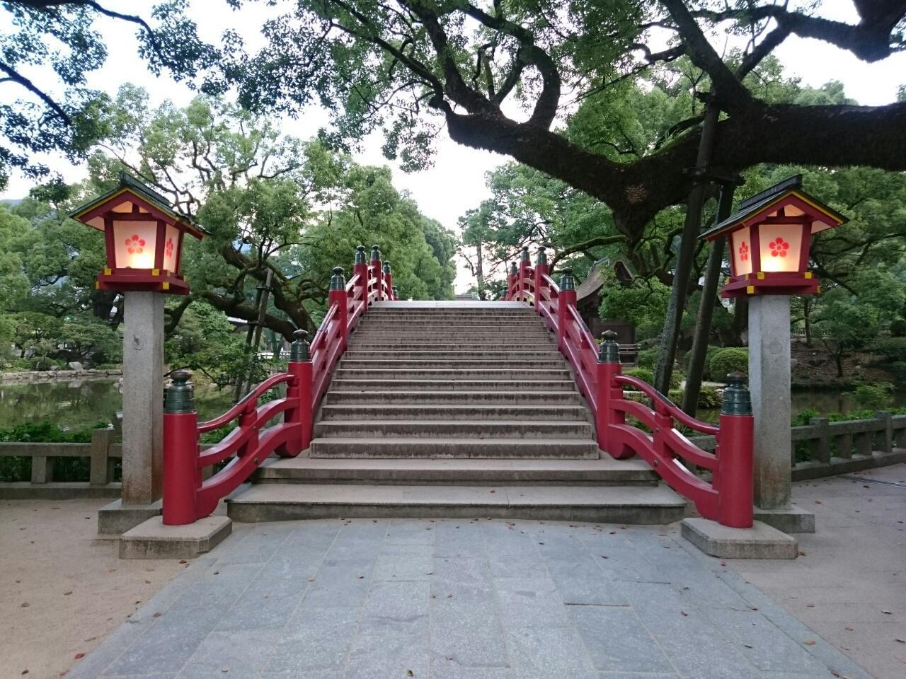 画像を等倍で表示します 画像