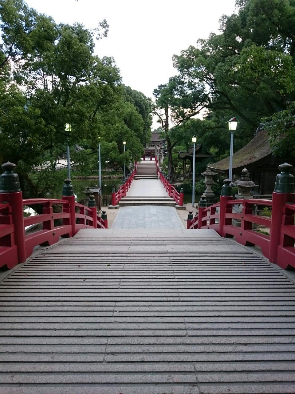 画像を等倍で表示します 画像