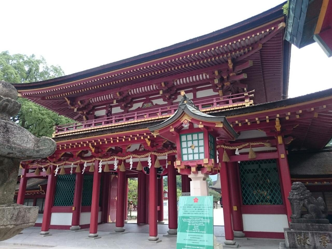 画像を等倍で表示します 画像