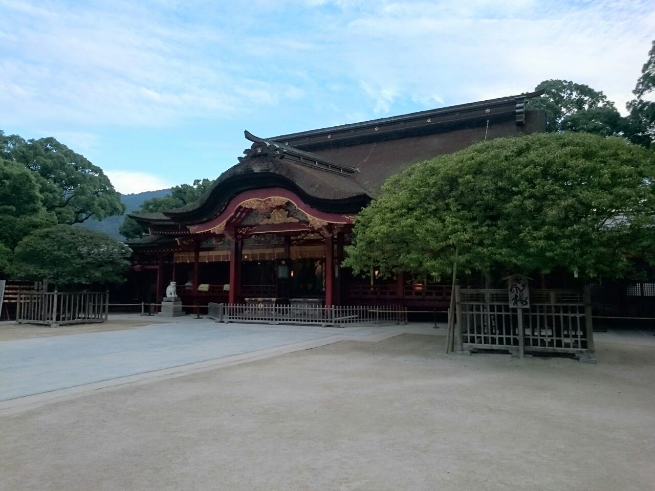 画像を等倍で表示します 画像
