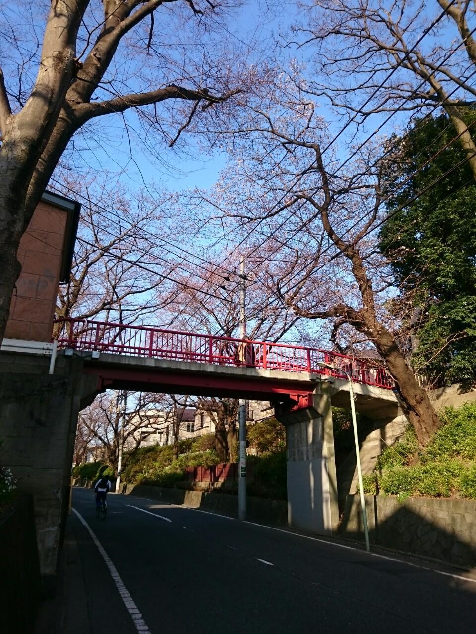 画像を等倍で表示します 画像