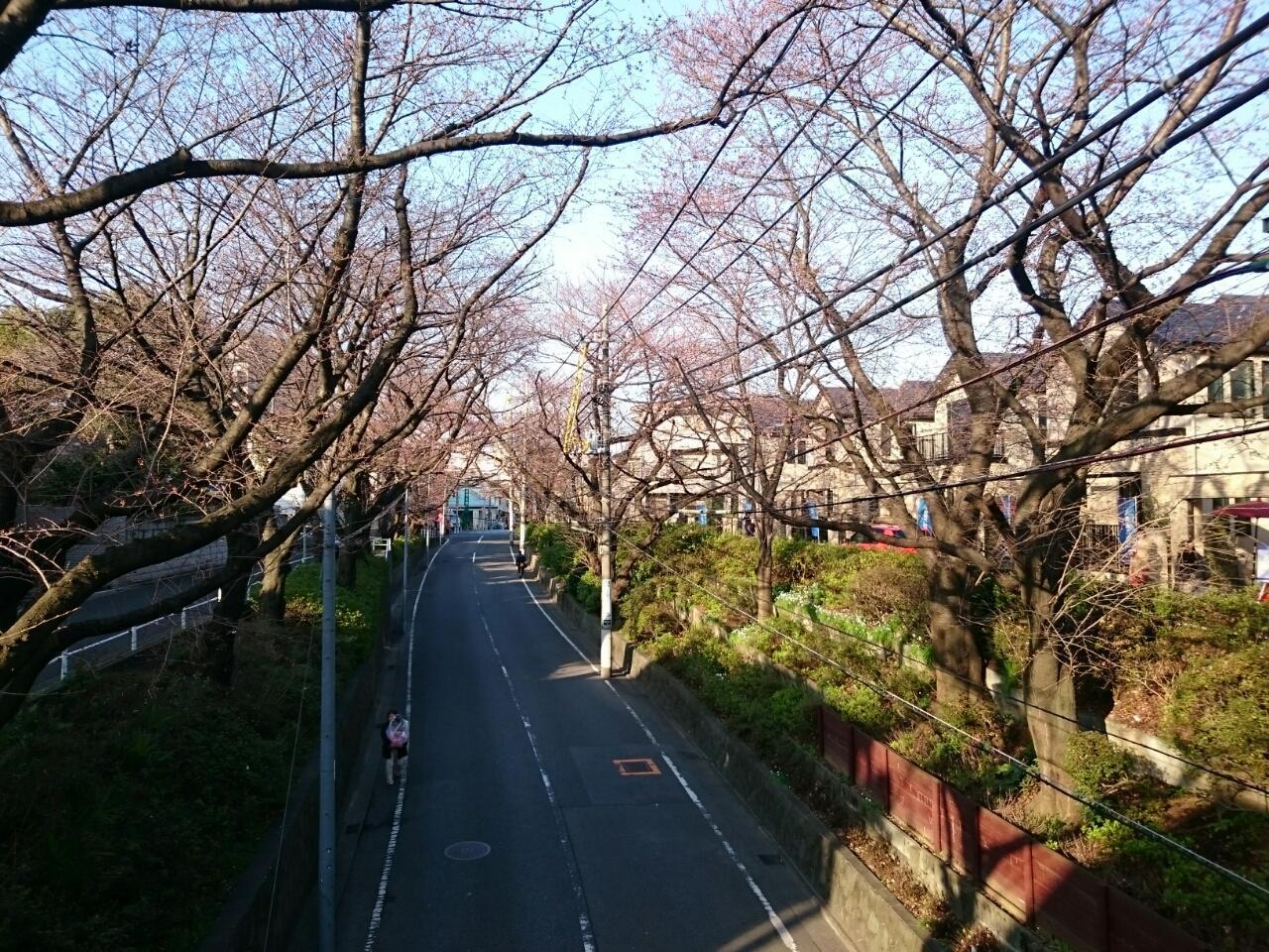 画像を等倍で表示します 画像
