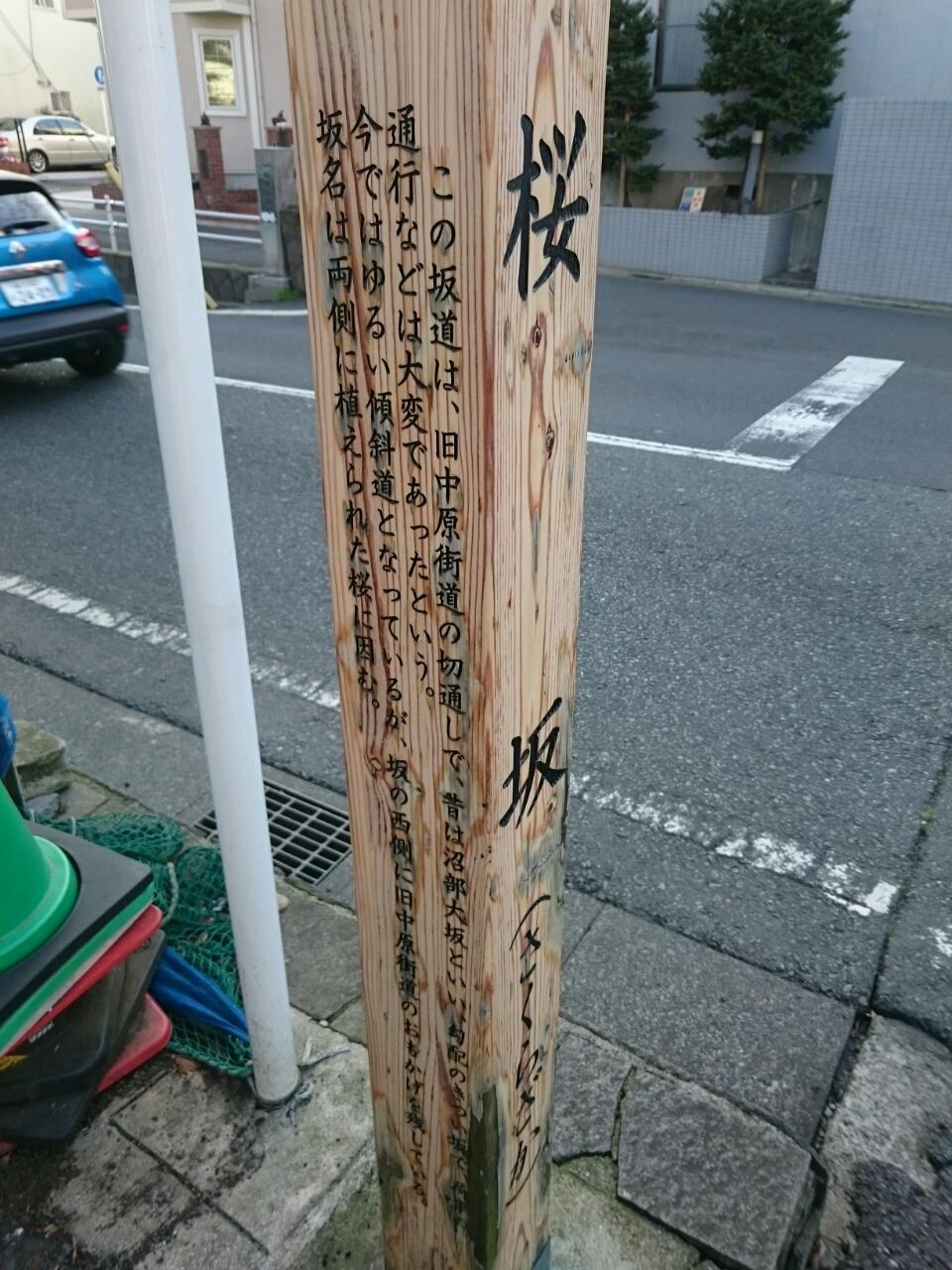 画像を等倍で表示します 画像