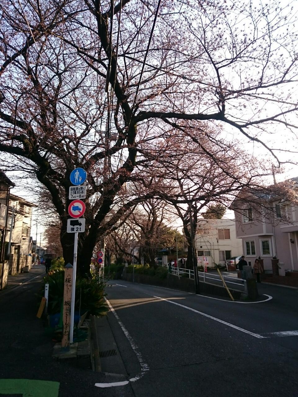 画像を等倍で表示します 画像