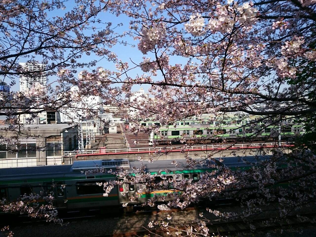 画像を等倍で表示します 画像