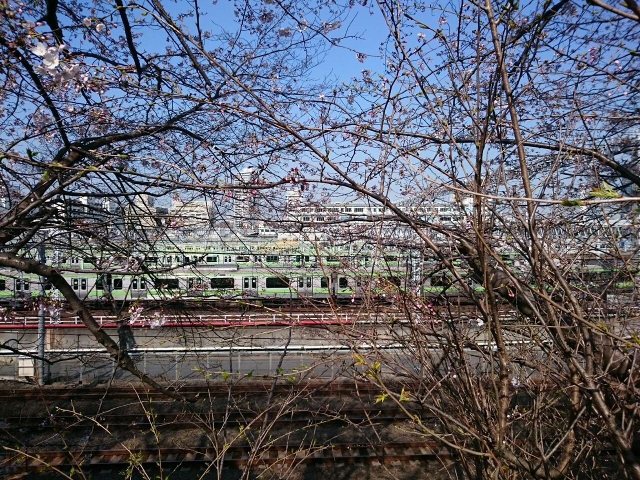 画像を等倍で表示します 画像