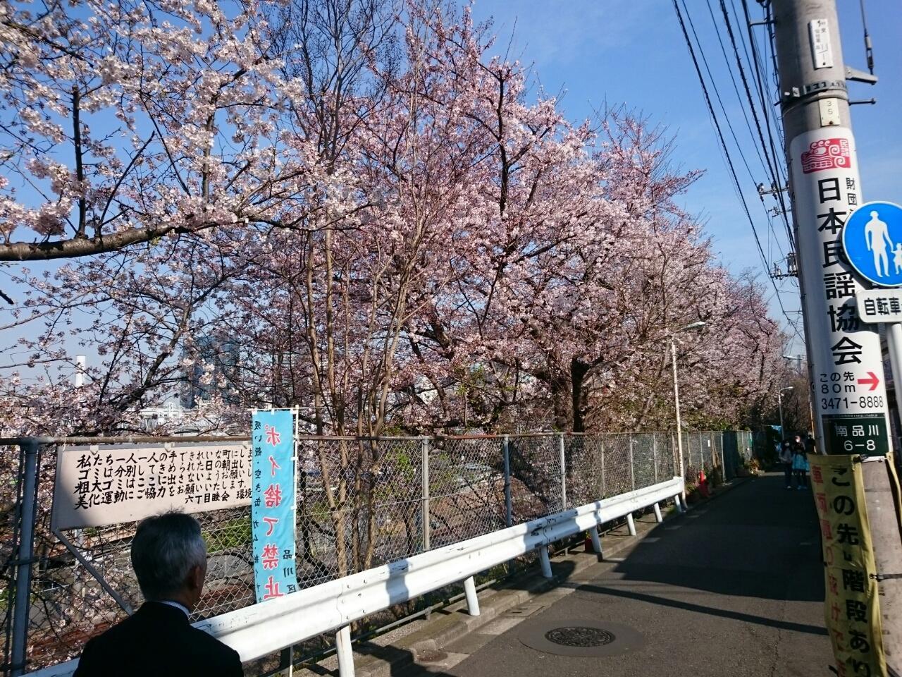 画像を等倍で表示します 画像