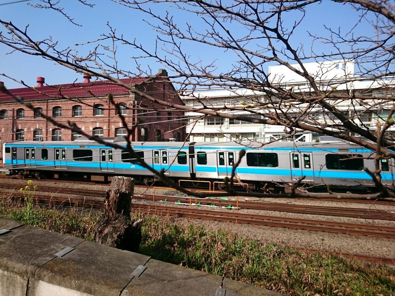 画像を等倍で表示します 画像