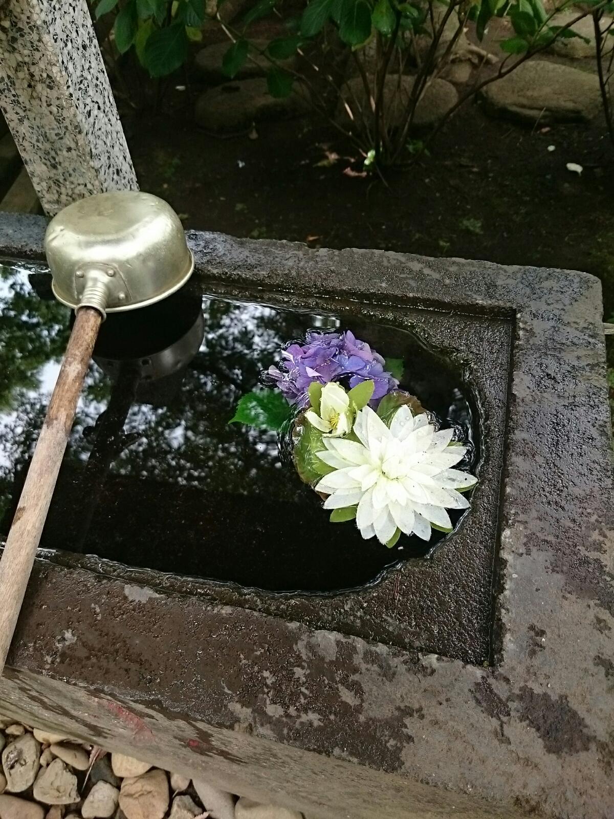 画像を等倍で表示します 画像