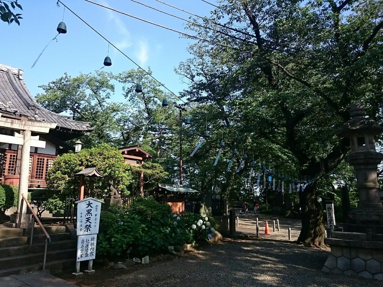 画像を等倍で表示します 画像