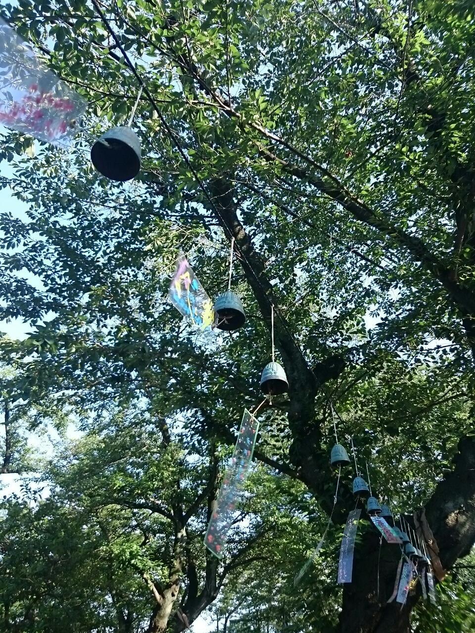 画像を等倍で表示します 画像