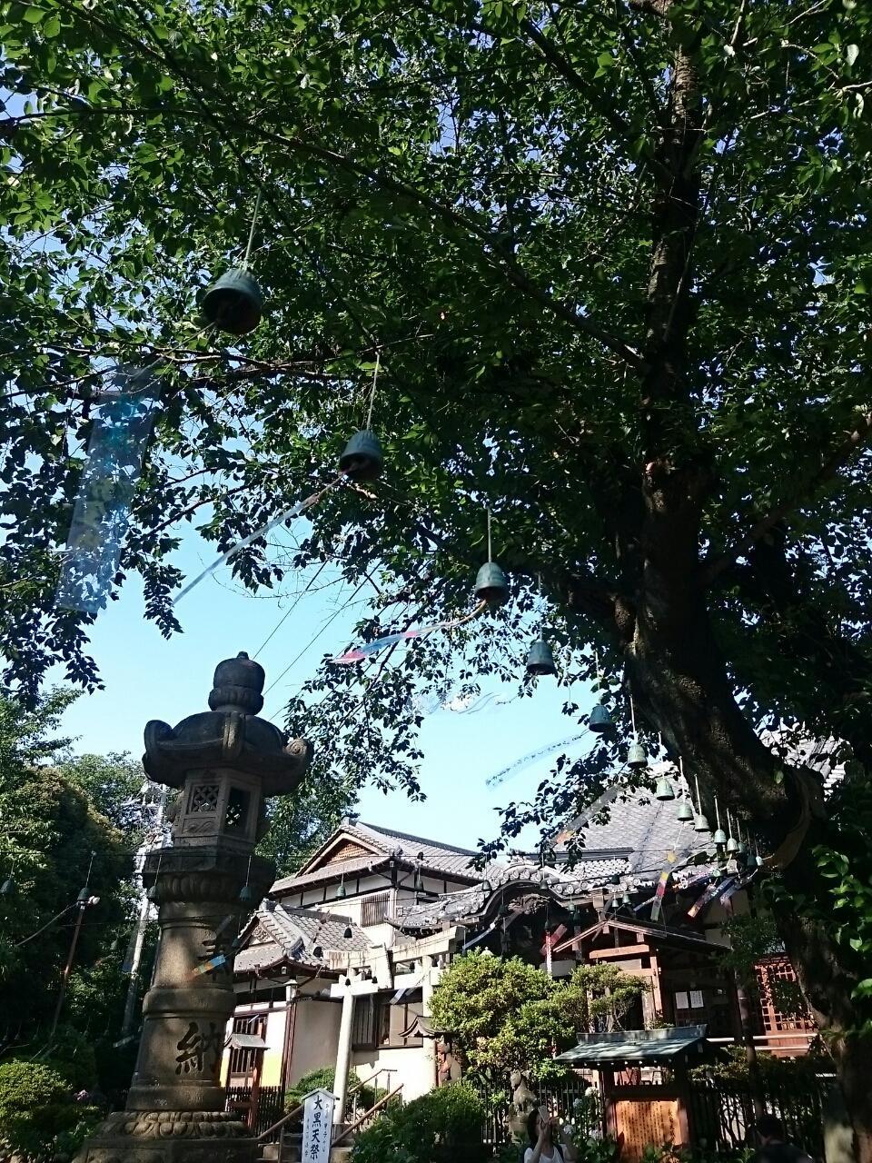 画像を等倍で表示します 画像