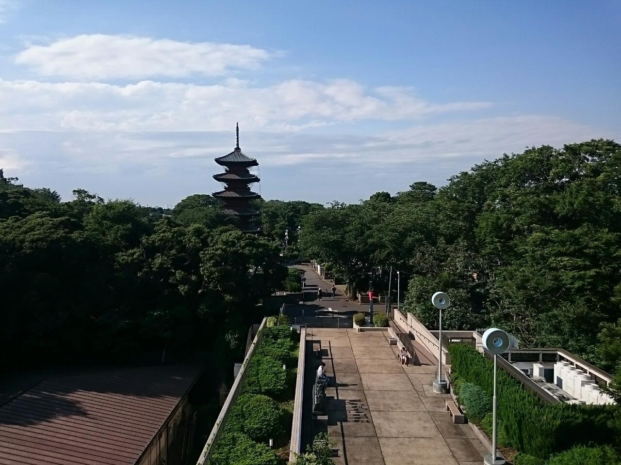 画像を等倍で表示します 画像