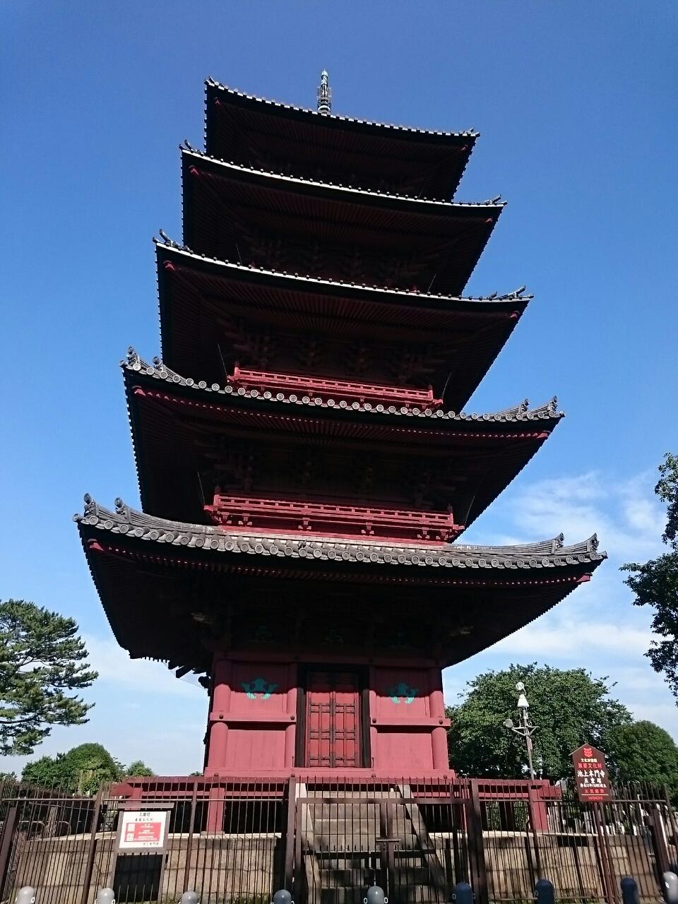画像を等倍で表示します 画像