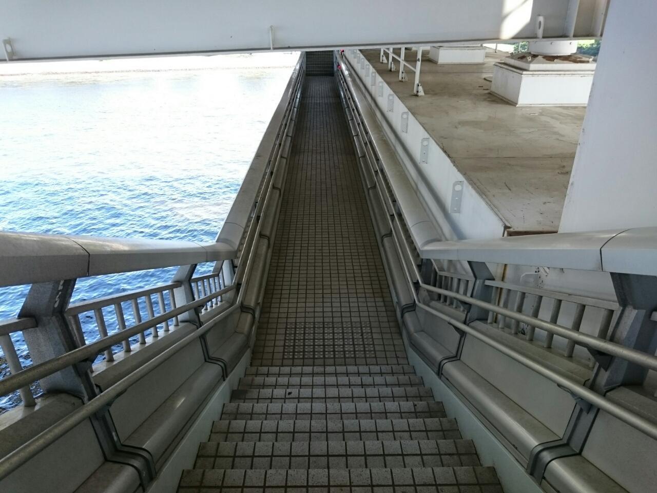 画像を等倍で表示します 画像