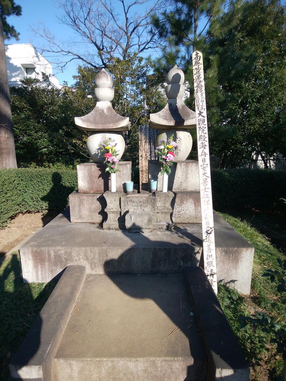 画像を等倍で表示します 画像