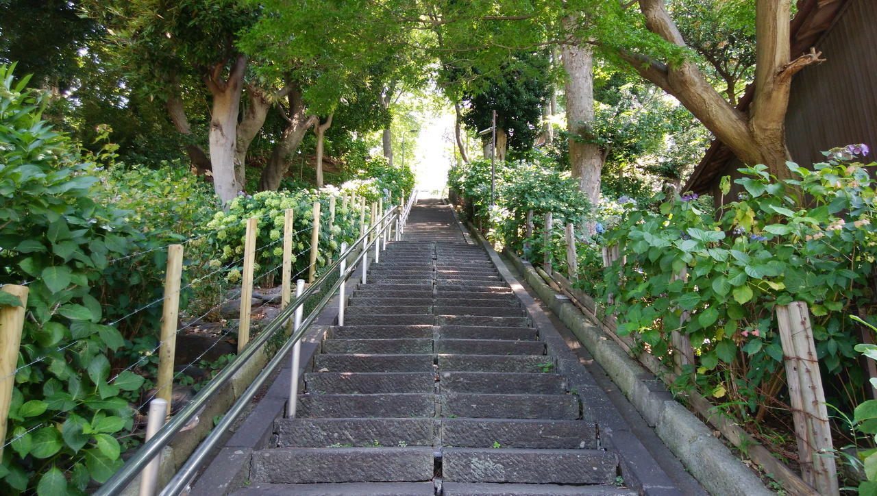 画像を等倍で表示します 画像