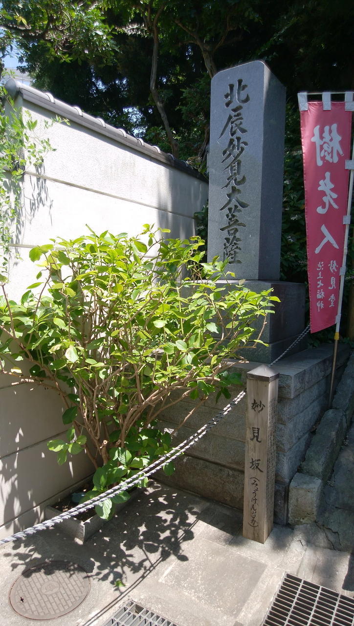 画像を等倍で表示します 画像