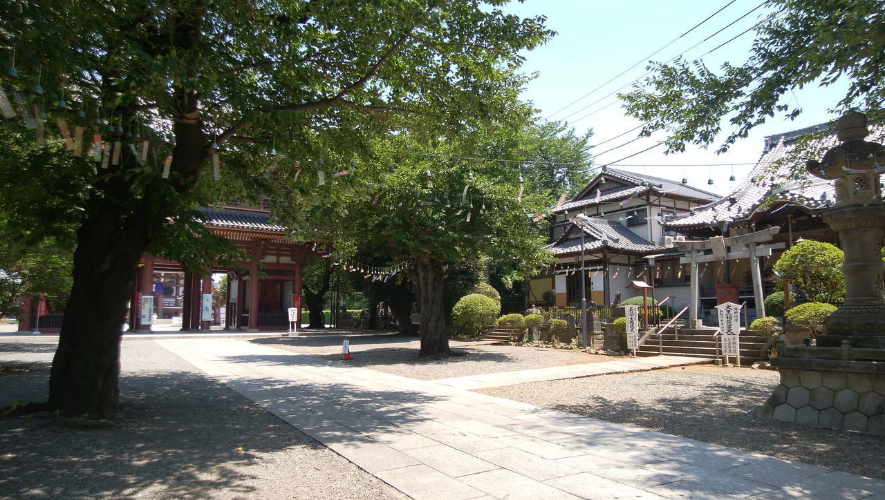 画像を等倍で表示します 画像