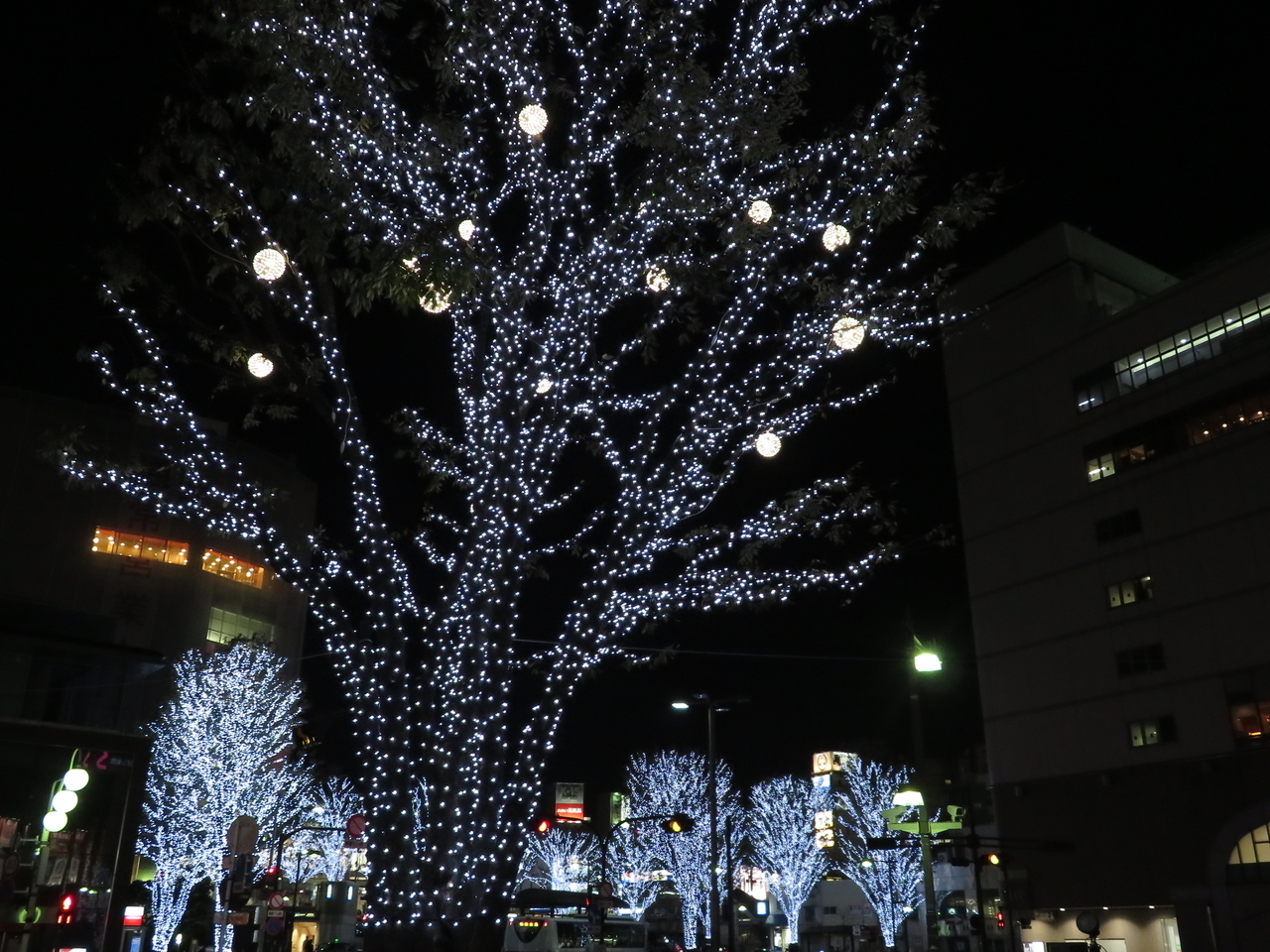 画像を等倍で表示します 画像
