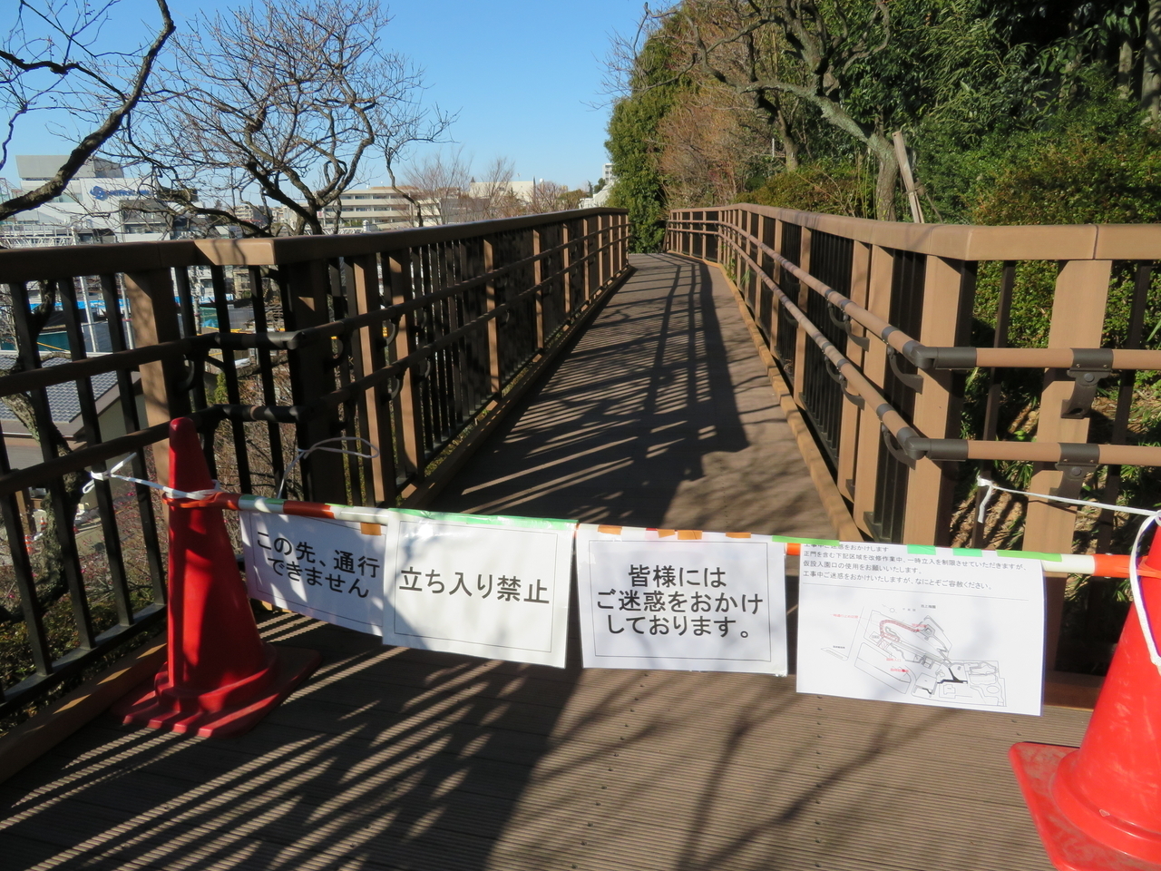 画像を等倍で表示します 画像