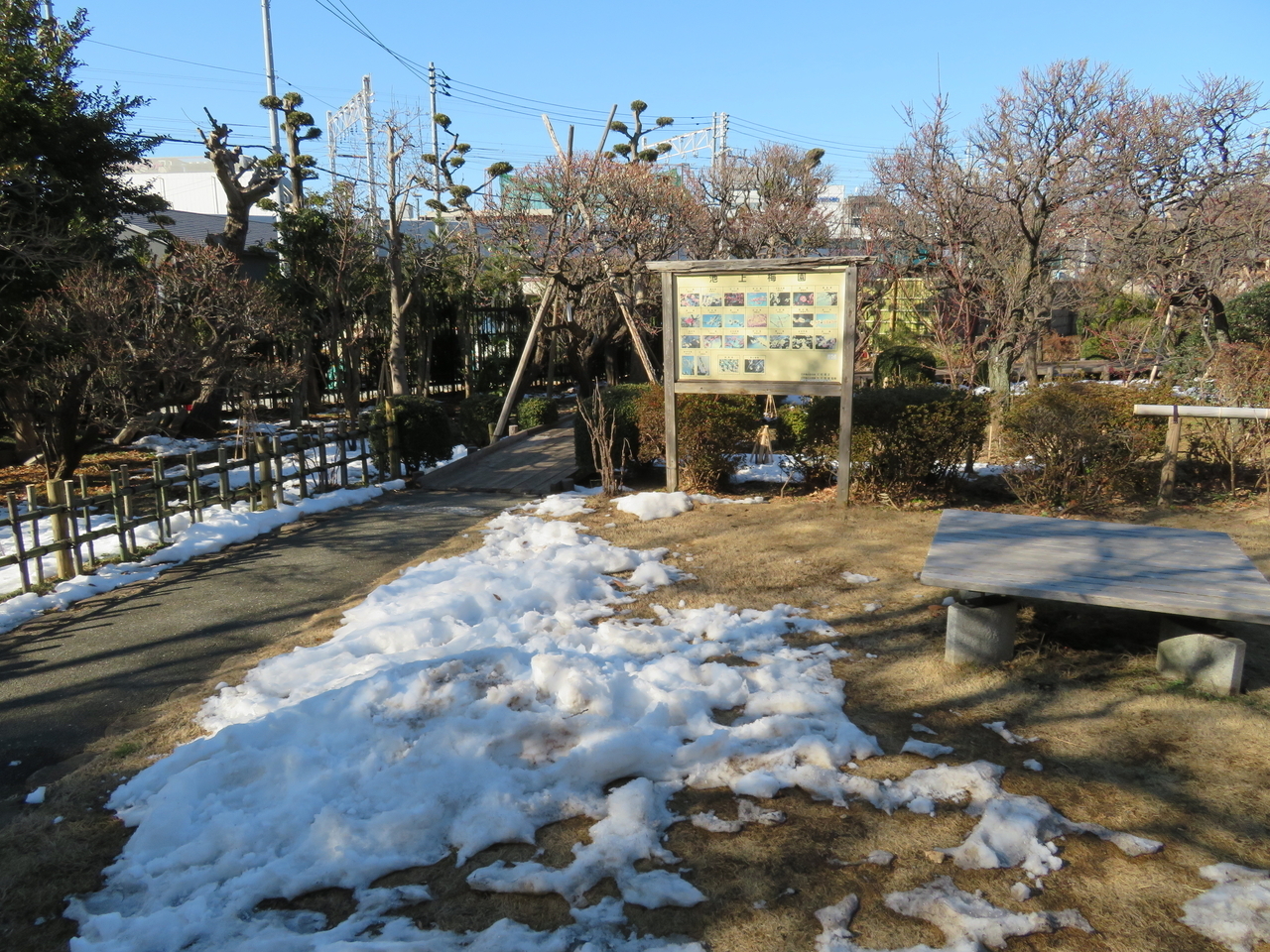 画像を等倍で表示します 画像