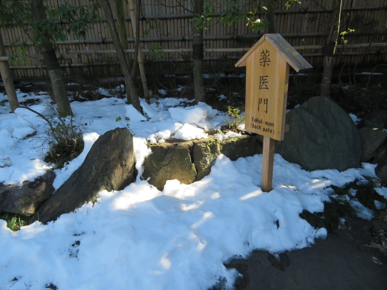 画像を等倍で表示します 画像