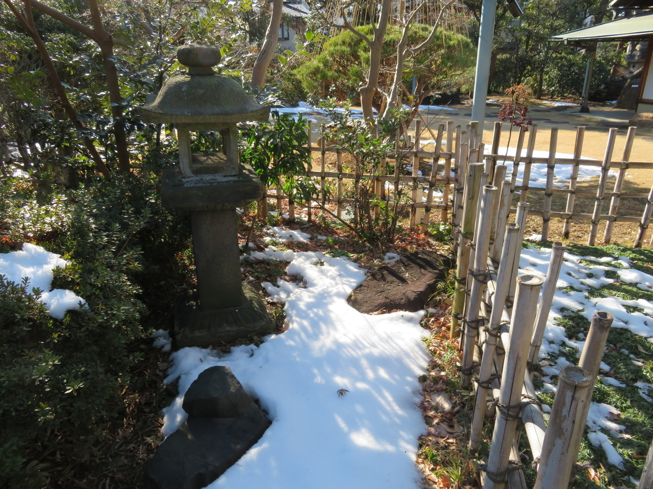 画像を等倍で表示します 画像