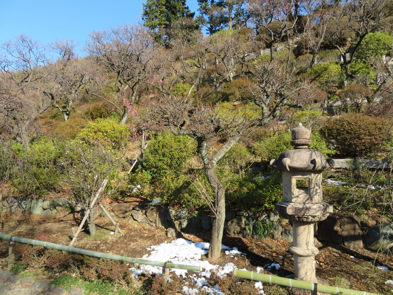 画像を等倍で表示します 画像