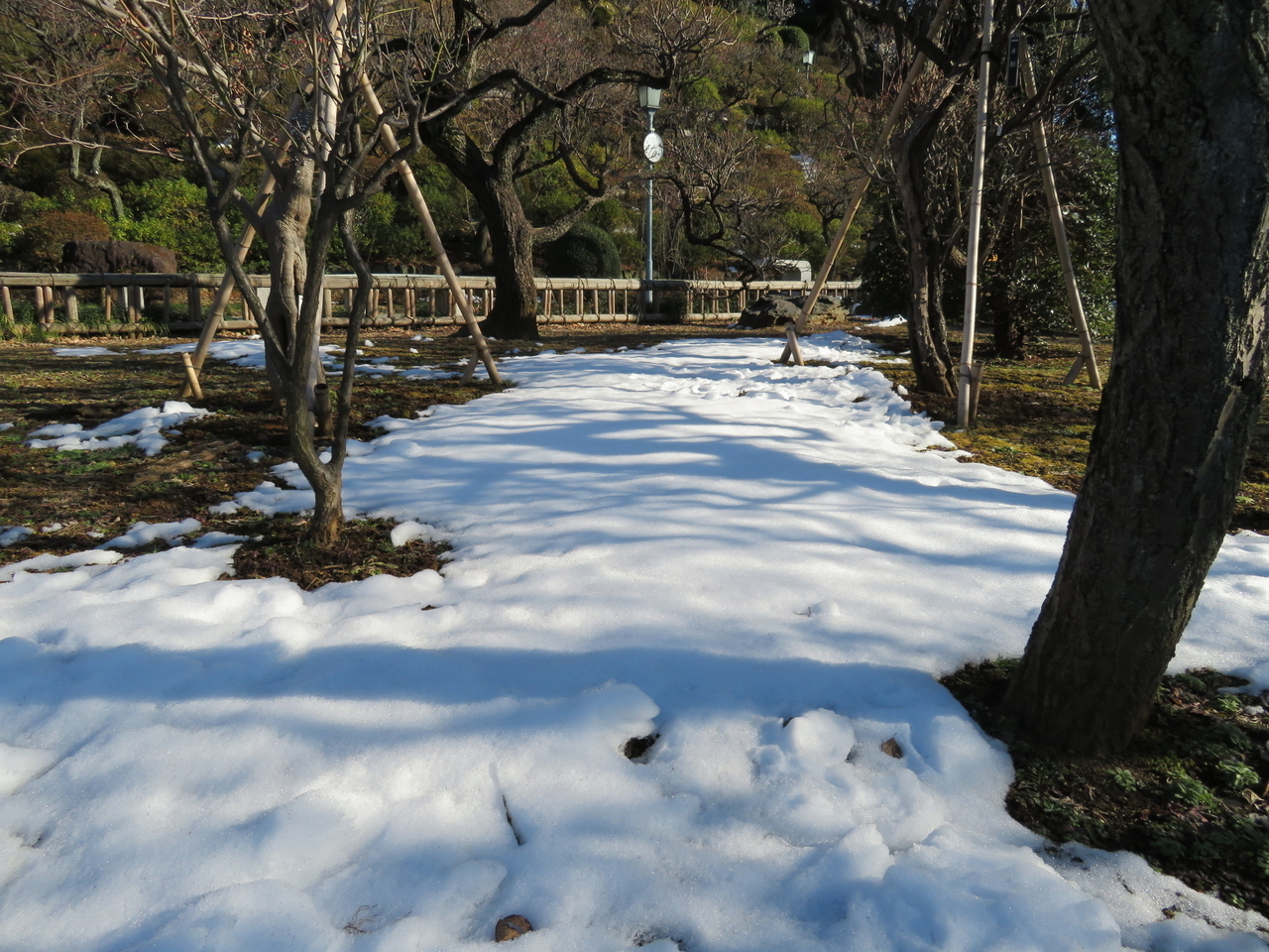 画像を等倍で表示します 画像