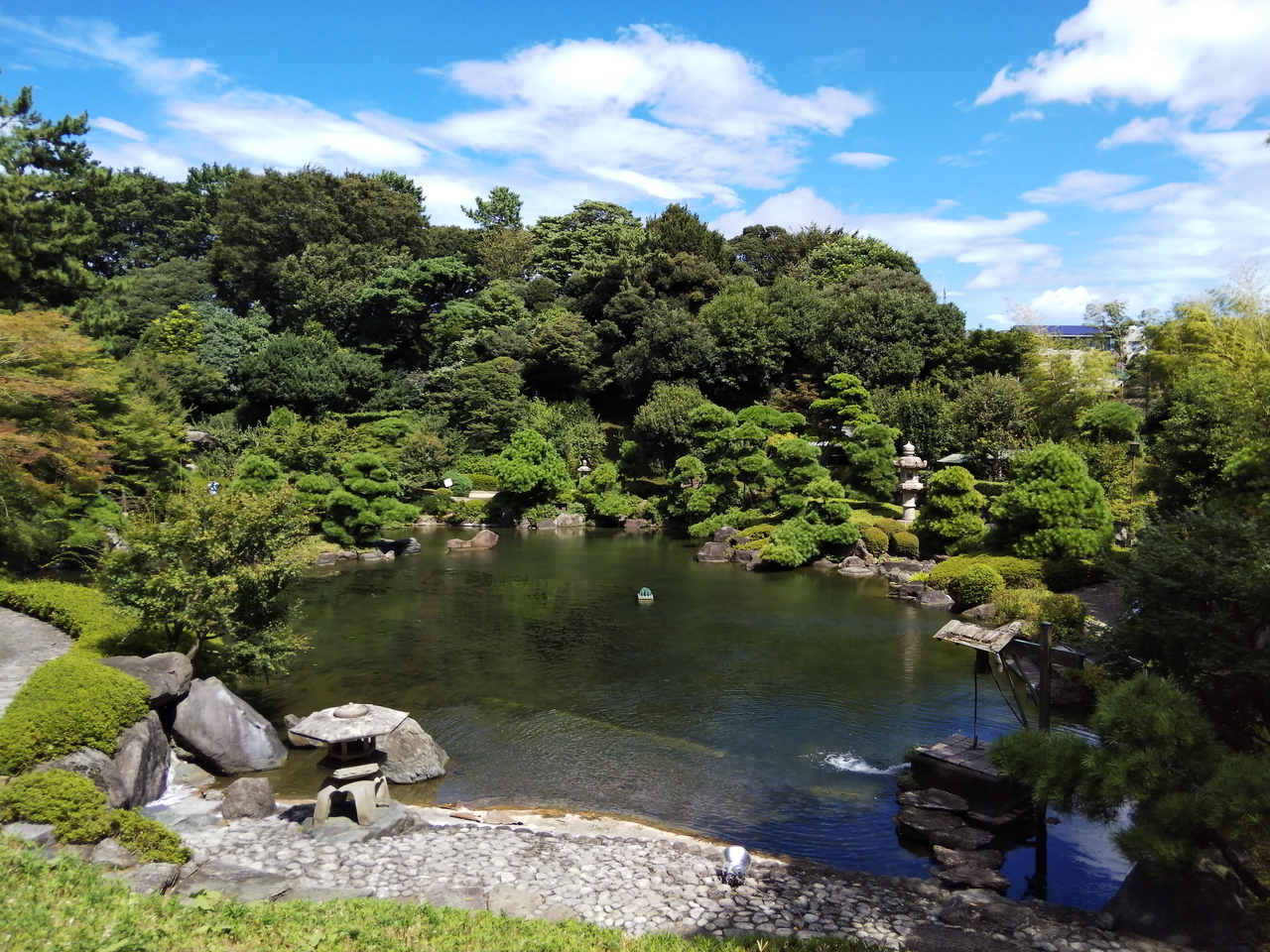 画像を等倍で表示します 画像