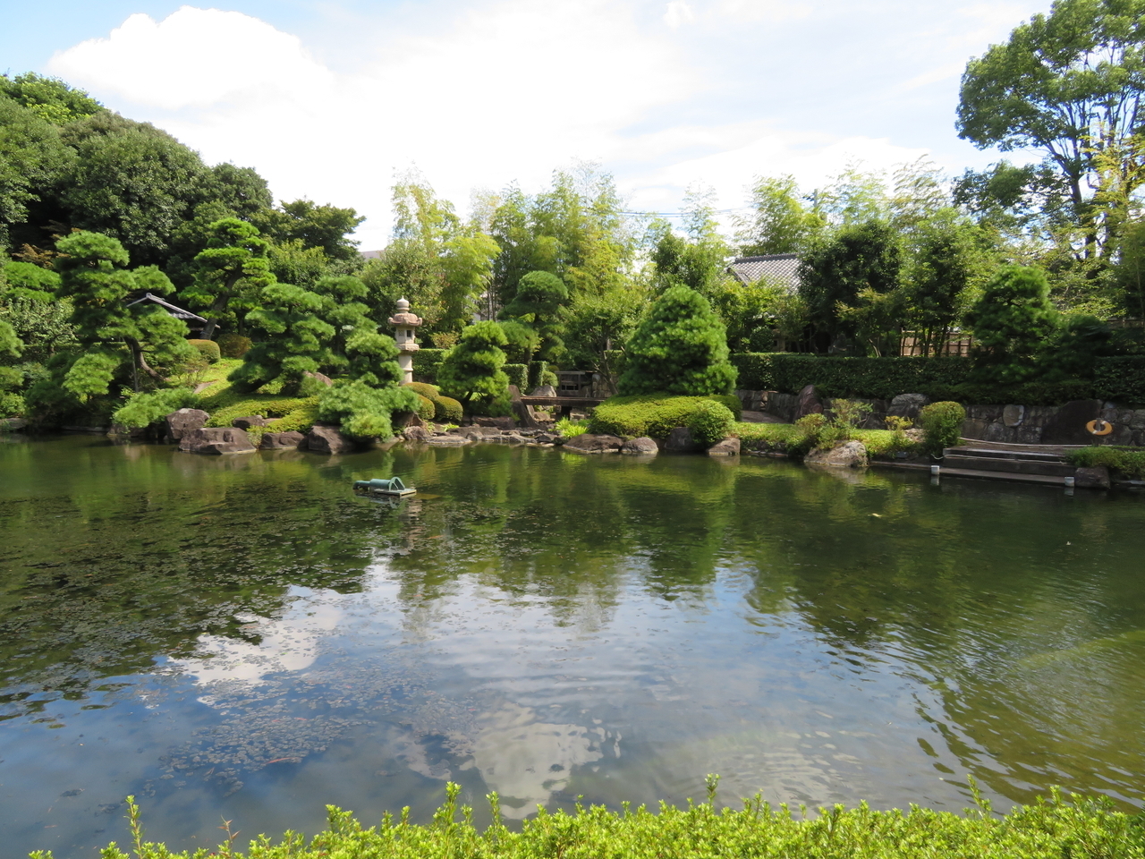 画像を等倍で表示します 画像
