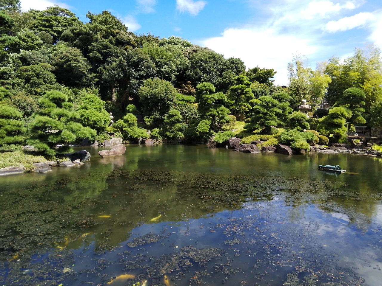 画像を等倍で表示します 画像