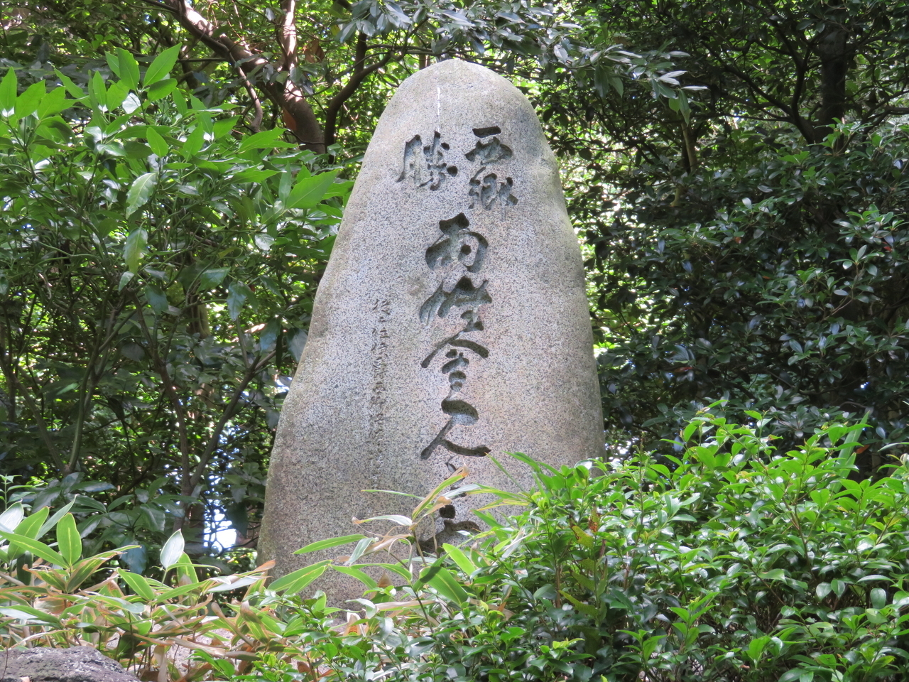 画像を等倍で表示します 画像
